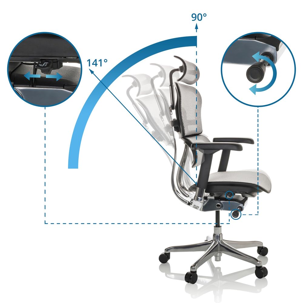 hjh OFFICE Silla de Oficina Silla giratoria ERGOHUMAN GEN2 Malla Diseño Original con Soporte Lumbar Flexible, Gris Claro