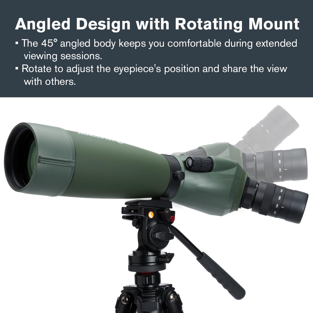 Celestron 52305 Regal M2 80ED: catalejo