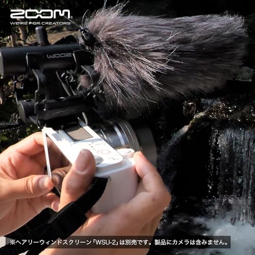 Zoom ZSG-1 - Micrófono direccional para cámaras y smartphones, color negro