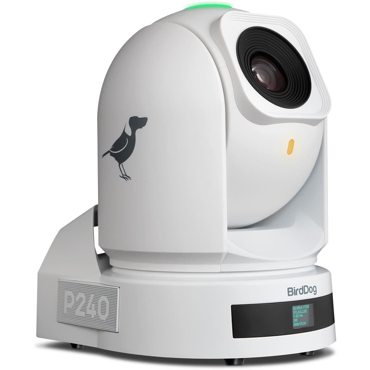 BirdDog P240 PTZ Camera 1080P in White Full NDI
