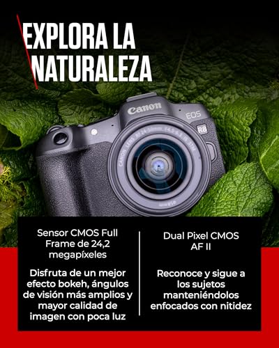 CANON EOS R8 Cámara Mirrorless + Objetivo RF 24-50 mm F4.5-6.3 IS STM, Cámara Evil Full Frame (24,2 MP) -6.5 EV, Vídeo 4K 60 fps, Dual Pixel CMOS AF II, Pantalla Táctil de Ángulo Variable, Negro
