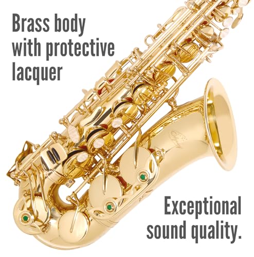 Odyssey OAS130 - Kit de saxofón alto, color dorado