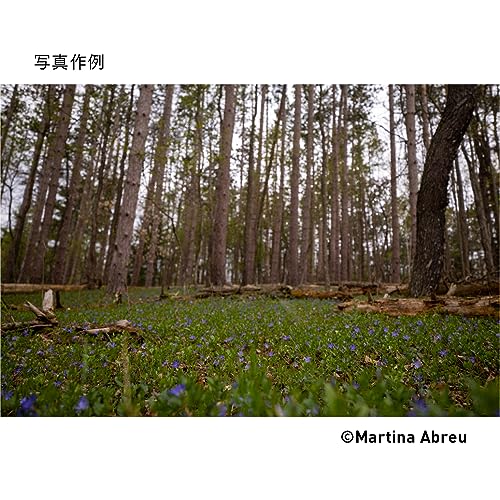Sigma 16-28MM F2.8 DG DN Contemporary - Sony E/FE