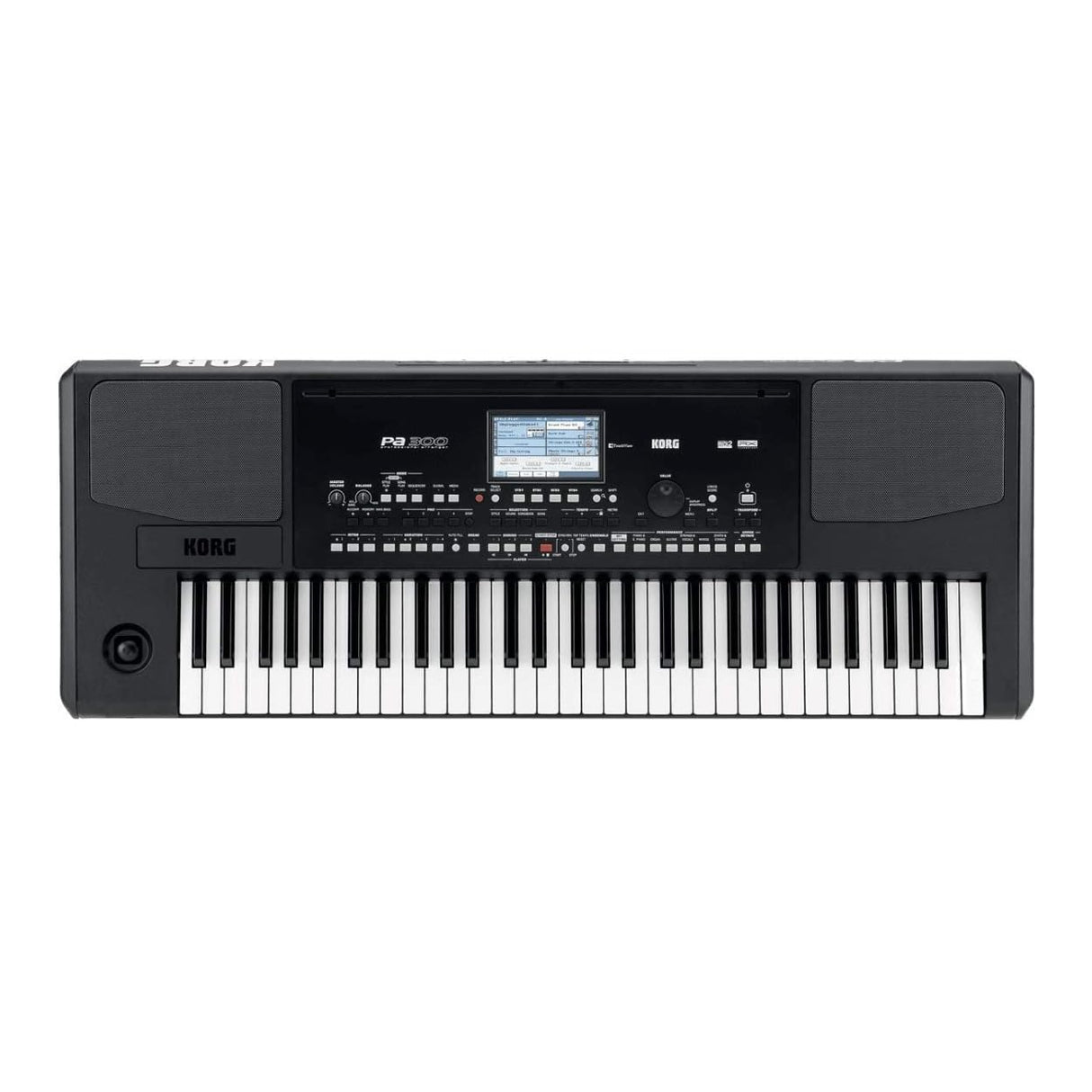 KORG TECLADO PA300