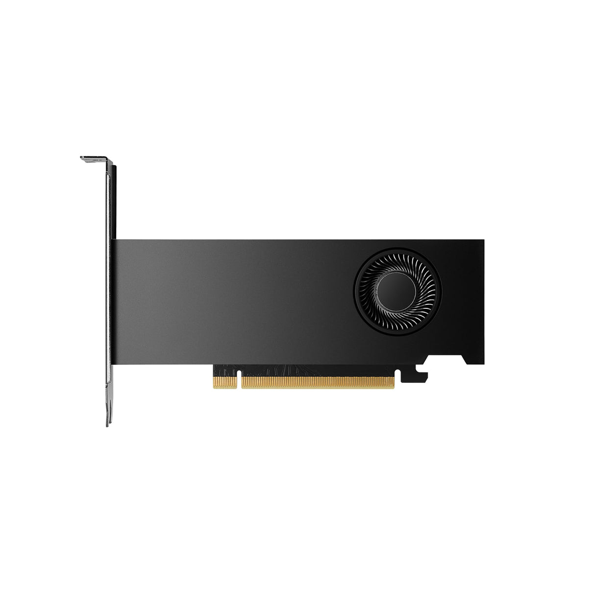 PNY NVIDIA RTX 2000 Ada Generation 16 GB GDDR6 PCI Express 4.0 Dual Slot, Low Profil 4X MiniDisplayPort, 8K Support, Ultraleiser Aktiver Lüfter