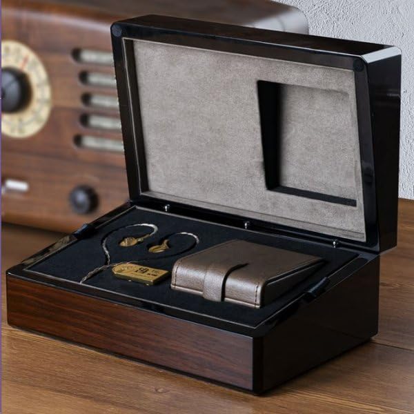 FiiO FDX In-Ear Driver dinámico con diafragma de berilio Puro (Edición Especial 14° Aniversario)