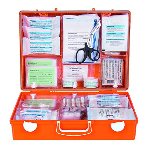 Söhngen 3001155 MT-CD - Maleta de primeros auxilios industrial (con relleno según DIN 13169, con soporte de pared, maletín de plástico ABS) 301155