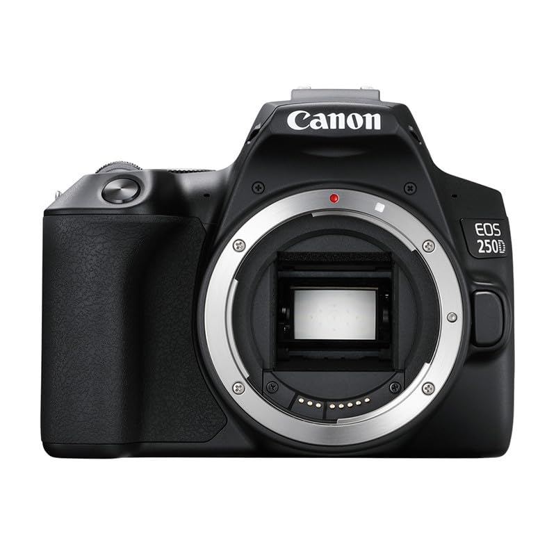 Canon EOS 250D - Cámara Digital (24,1 MP, 6000 x 4000 Pixeles, CMOS, 4K Ultra HD, Pantalla táctil) Negro