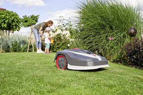 AL-KO Robot cortacésped Robolinho® 550 W, Ancho de Corte 20 cm, batería de Iones de Litio de 20 V/2,5 Ah, para Superficies de hasta 550 m², Capacidad de Ascenso máx. 45%, Muy silencioso 60 dbA