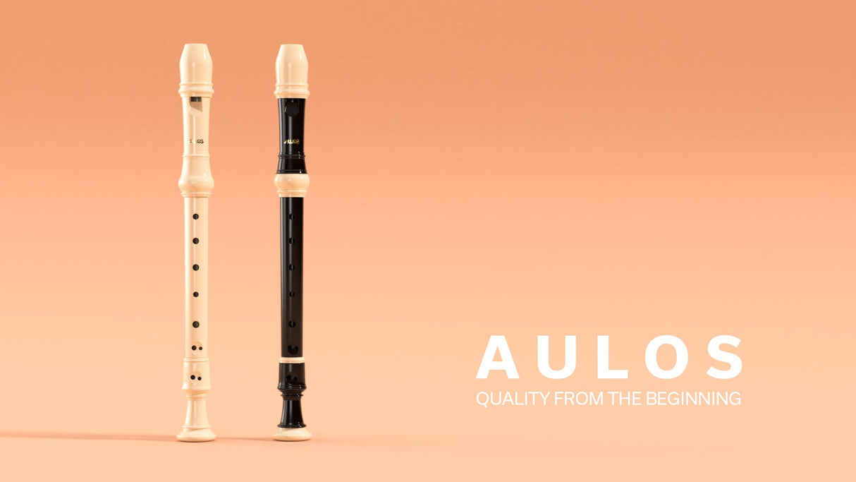 Flauta de pico en Fa Aulos Symphony 533B digitación barroca marrón oscuro, completa con bolsa, cordón, lata de grasa y tabla de digitación
