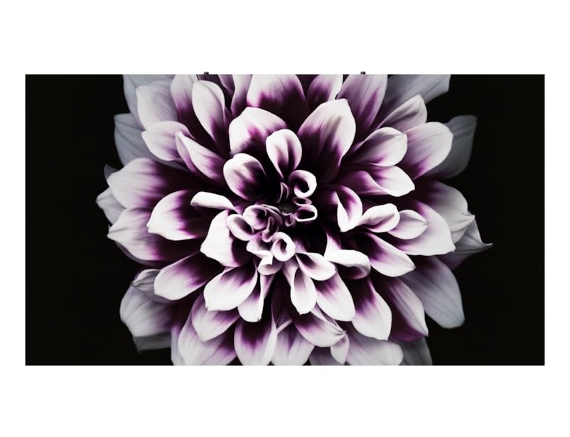 SAMSUNG La Pantalla LED de la Serie IW012J IWJ de Pared