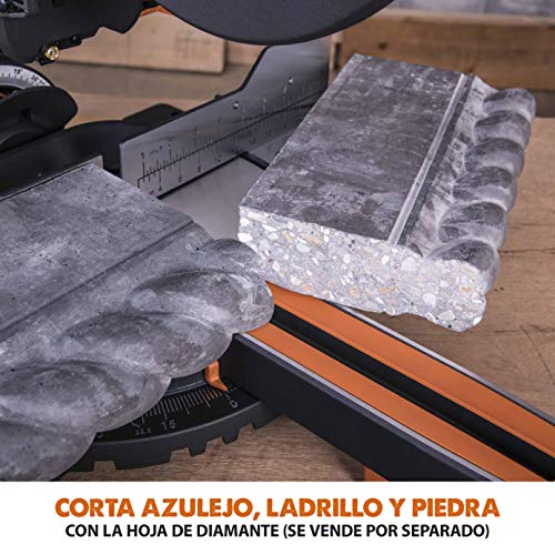 Evolution Power Tools R255SMS Sierra ingletadora Deslizante multimaterial, con Paquete Plus, Corta acero dulce, aluminio, plástico, madera con clavos incrustados 230 V, 255 mm
