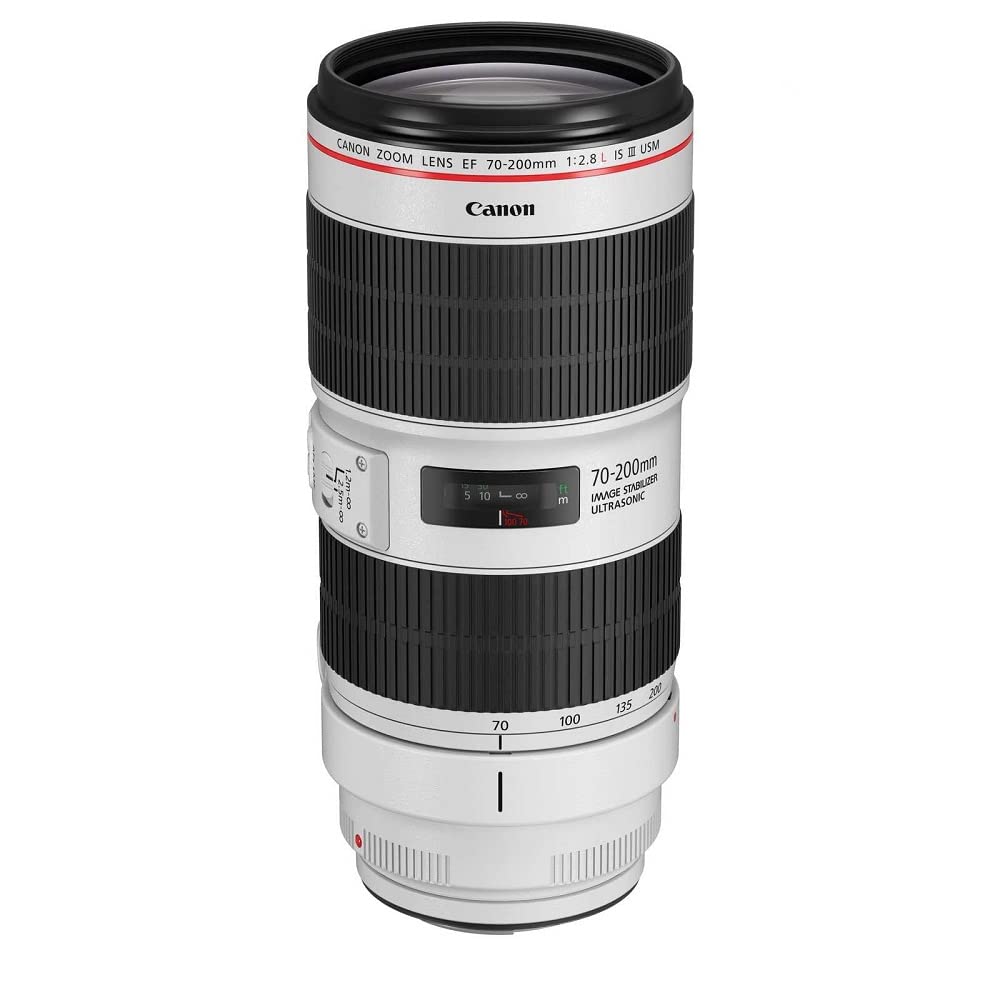 Canon EF 85mm F/1.4L IS USM - Teleobjetivo para cámara (Longitud Focal 85 cm, f/1.4, estabilizador de Imagen de 4 Pasos, Enfoque automático) Negro