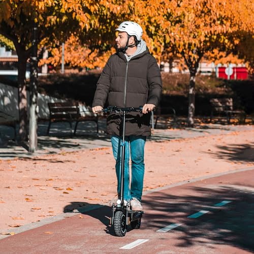 smartGyro Speedway - Patinete Eléctrico de 48V, 800W Pot. Máxima, Batería 13Ah, Autonomía 50 Km, Ruedas de 10 inches Dual Grip, Suspensiones, Triple Frenada, Certificado DGT, Segunda Generación