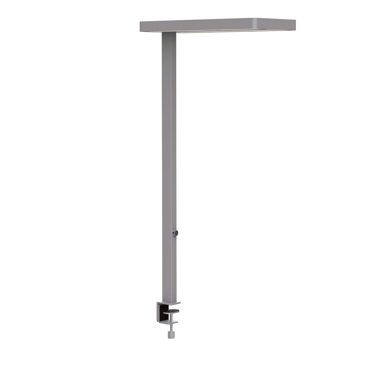 MAUL MAULjaval-Pinza para Mesa, 48 W, Plata, Klemmfuß