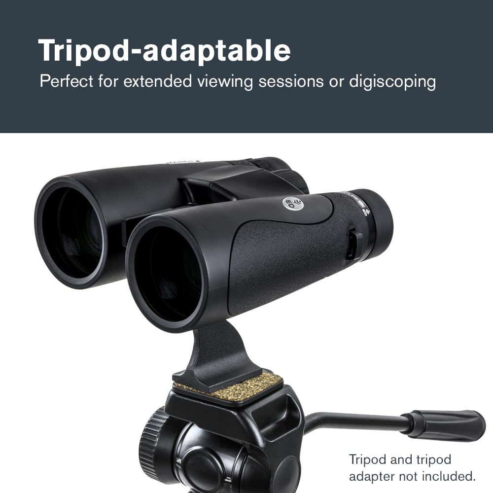 Celestron 72336 Nature DX ED 12x50: prismáticos con lentes objetivo con dispersión baja, exteriores y aves, revestimiento múltiple completo y prismas BaK-4, carcasa revestida resistente al agua y vaho