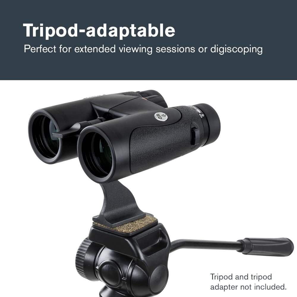 Celestron 72333 Nature DX ED 10x42: prismáticos con lentes objetivo con dispersión baja, exteriores y aves, revestimiento múltiple completo y prismas BaK-4, carcasa revestida resistente al agua y vaho