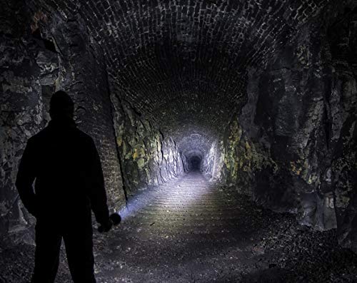 Linterna de bolsillo LED Ledlenser X21R, reflector, recargable con batería de litio LiFePO, 5000 lúmenes, enfocable, tecnología X-Lens, haz de luz de 800 m, carga magnético y soporte para la pared