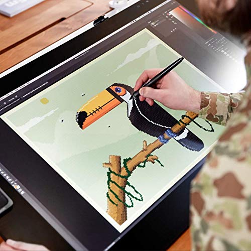Wacom Pro 24, Monitor, USB, 24", Negro