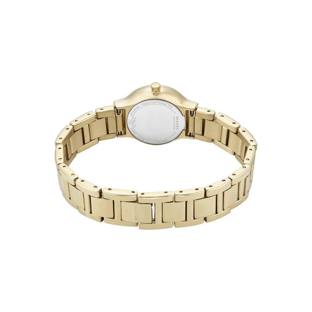 Skagen Reloj Analógico para Mujer de Cuarzo con Correa en Acero Inoxidable SKW3167