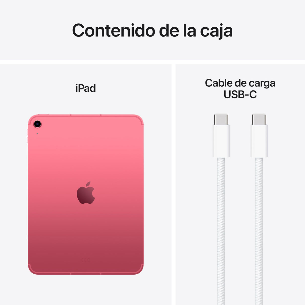 Apple iPad de 11 Pulgadas: Chip A16, Modelo de 11 Pulgadas, Pantalla Liquid Retina, 256 GB, Wi Fi 6, Redes 5G, cámaras Frontal y Trasera de 12 Mpx, Touch ID, autonomía para un día Entero – Rosa