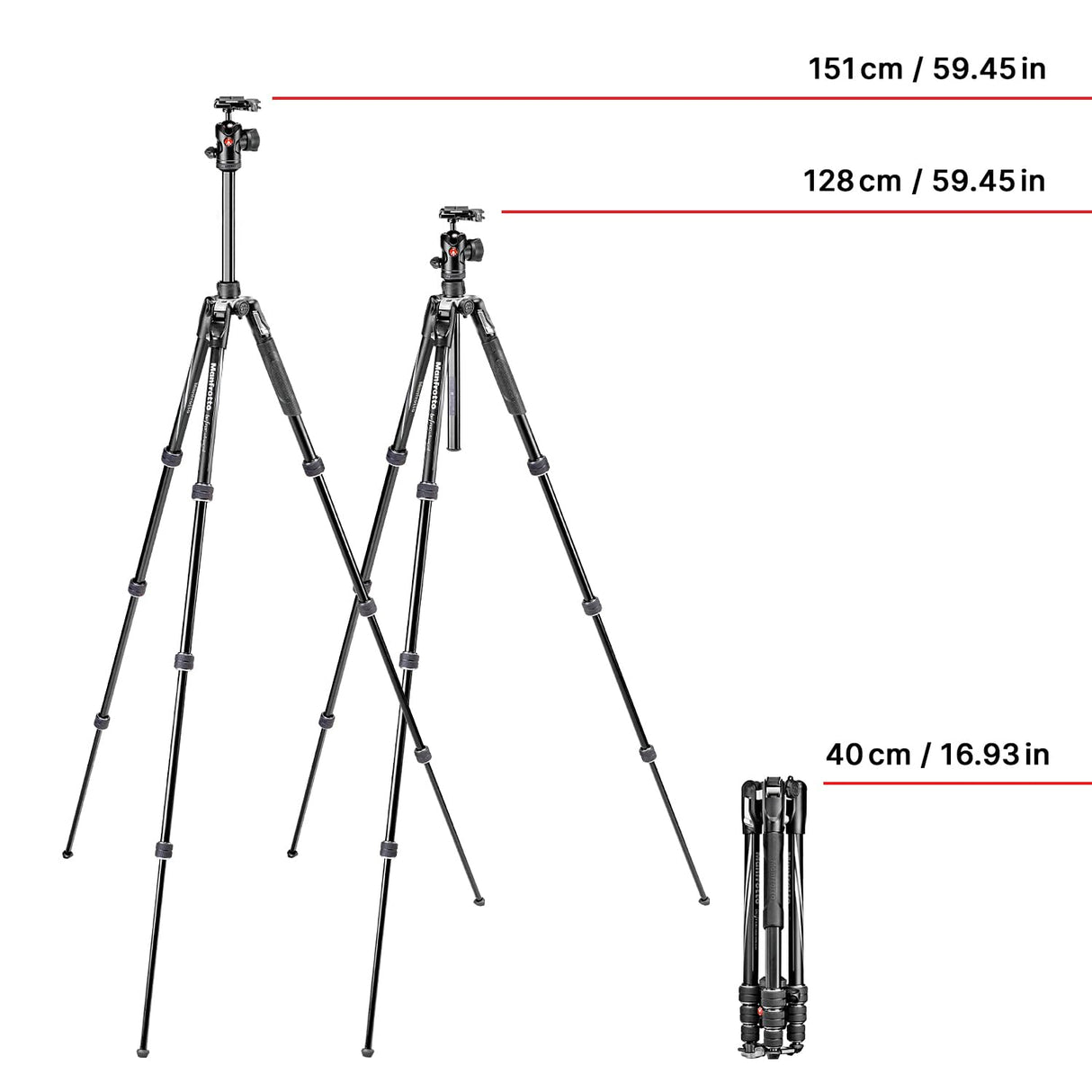 MANFROTTO Trépied MKBFRTA4BK-BH Befree Advanced M-Lock Noir