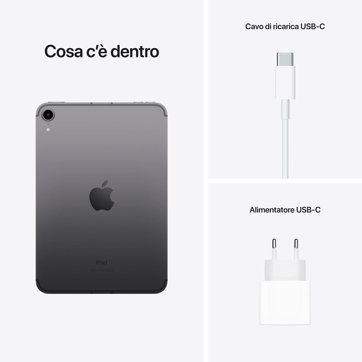 Apple 2021 iPad Mini (de 8,3 Pulgadas con Wi-Fi + Cellular, 256 GB) - Gris Espacial (6.ª generación)