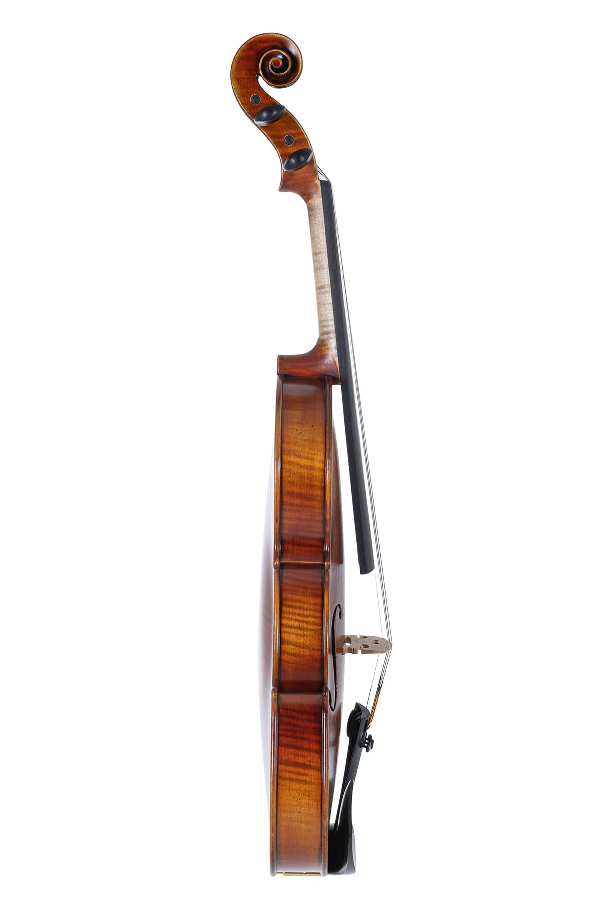 GEWA Maestro 2 VL 4, 3/4 listo para usar, incluye estuche de violín, arco de carbono y cuerdas Larsen Aurora