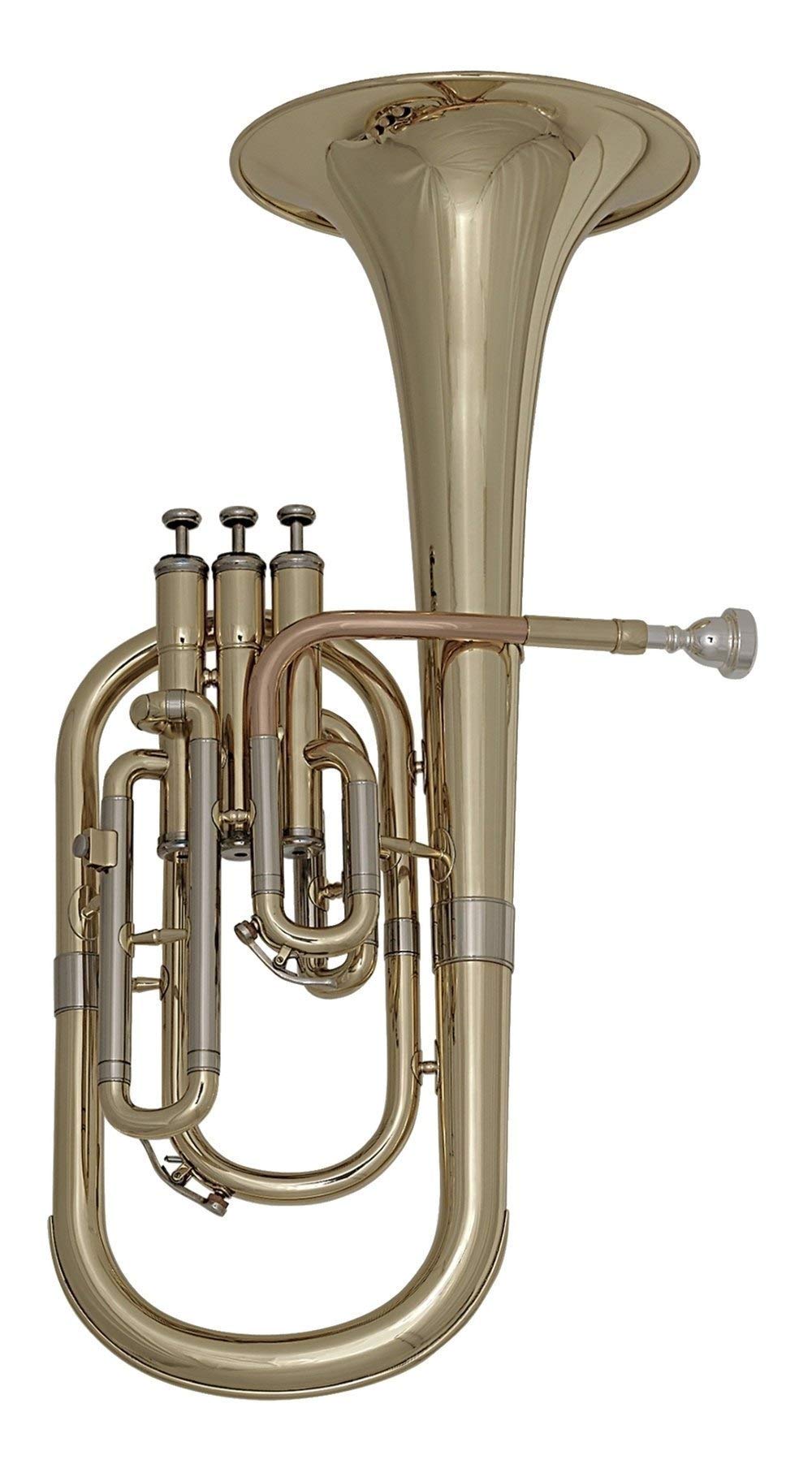 Roy Benson Trompa Alto Mib AH-301 (Instrumento de viento profesional, con tudel de latón dorado, láminas exteriores de alpaca, válvulas de acero inoxidable y estuche de forma ligera)