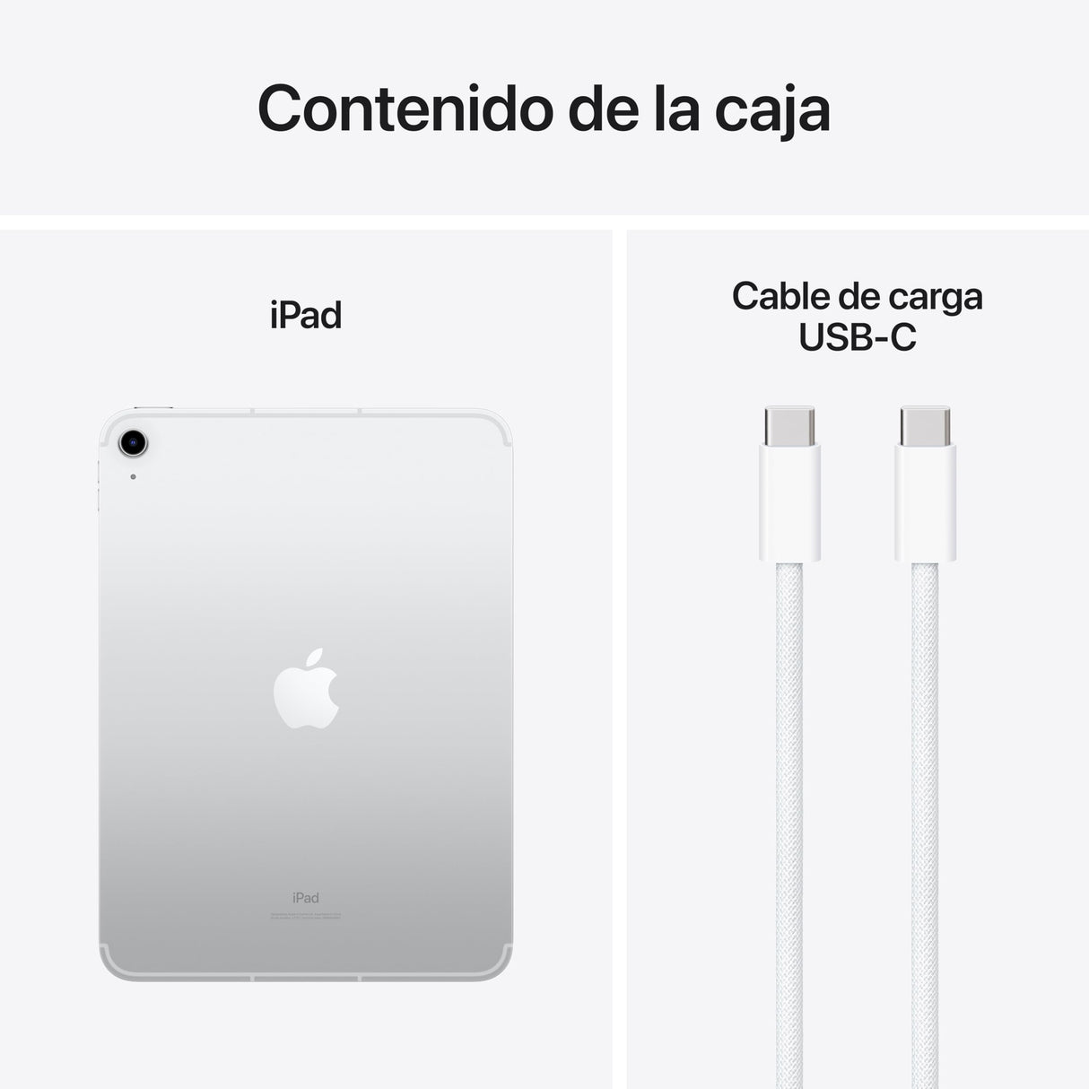 Apple iPad de 10,9 Pulgadas (Wi-Fi + Cellular, 256 GB) - Plata (10.ª generación)