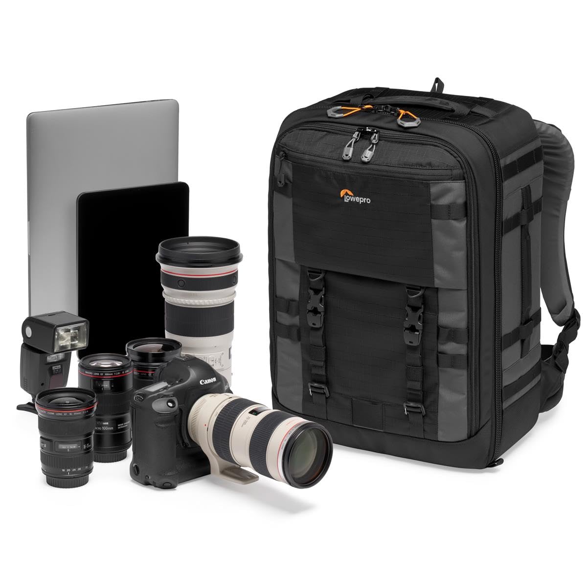 Lowepro Pro Trekker BP 450 AW II Gris