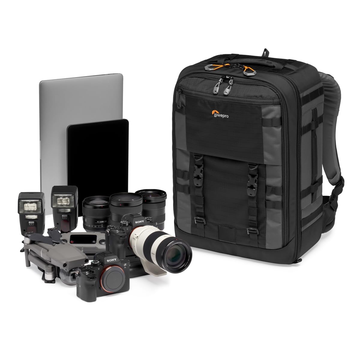 Lowepro Pro Trekker BP 450 AW II Gris