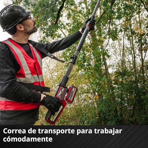 Einhell Professional Podadora con batería GP-LC 18/20 Li T BL-Solo Power X-Change (18 V, longitud de corte 18 cm, Brushless, velocidad de la cadena 7 m/s, lubricación de cadena autom., sin batería)