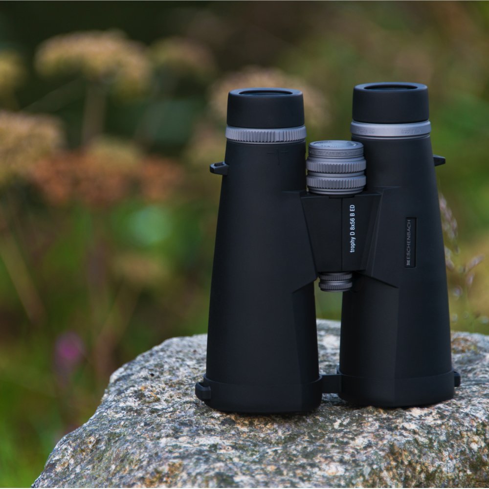 Eschenbach Trophy D 8x56 ed óptica prismáticos, Negro