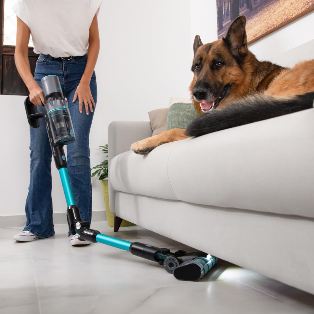 Cecotec Aspirador Escoba sin Cable Conga Rockstar 2500 Thunder Flex Animal. Ciclón Paralelo, 400W, 30 kPa y 122 AW, 65mins de Autonomía Máxima, Tubo Flexible, Cepillo Jalisco y Accesorio Animales