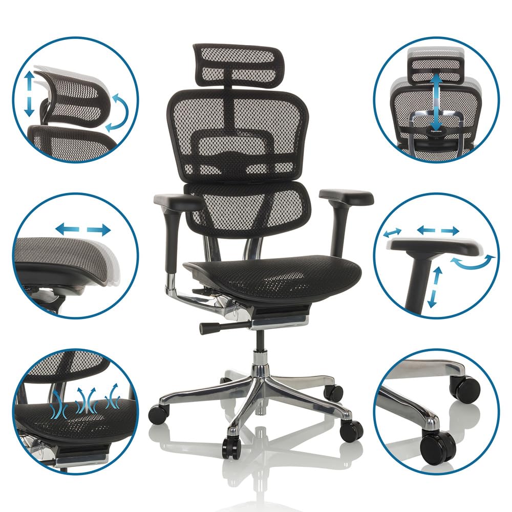 hjh OFFICE Silla de Oficina Silla giratoria ERGOHUMAN GEN2 Malla Diseño Original con Soporte Lumbar Flexible, Negro