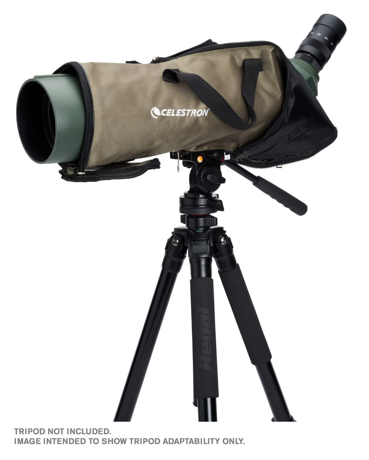 Celestron 52306 Regal M2 22-67x100mm Telescopio telescópico con Zoom en ángulo ED mm con óptica Multicapa, Prisma BaK-4, Cuerpo Ligero de aleación de magnesio y Funda de Transporte Acolchada, Verde