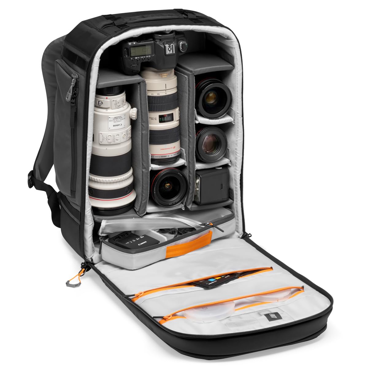 Lowepro Pro Trekker BP 450 AW II Gris