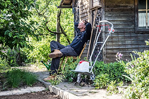 IKRA 70300910 motoazada eléctrica motocultor cultivador Fem 1500, Ancho útil 17-45cm, Profundidad 23cm, 1500 W, 230 V