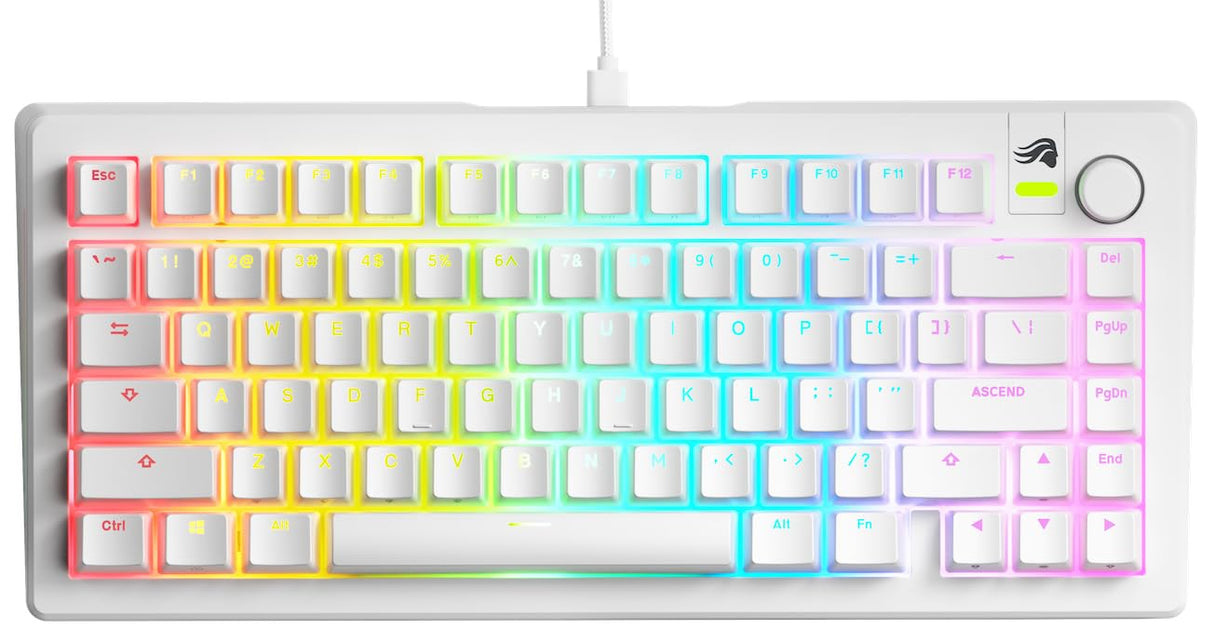 Glorious Gaming GMMK 3 anpassat mekaniskt gamingtangentbord, 75% TKL, modulärt packningssystem, doubleshot PBT-tangenter, aluminiumplatta, utbytbara 3- Och 5-stiftsbrytare, USA QWERTY - Vit