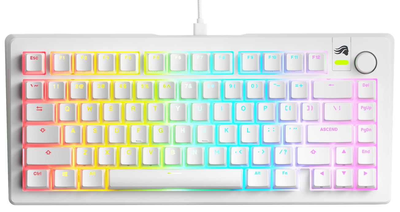Glorious Gaming GMMK 3 anpassat mekaniskt gamingtangentbord, 75% TKL, modulärt packningssystem, doubleshot PBT-tangenter, aluminiumplatta, utbytbara 3- Och 5-stiftsbrytare, USA QWERTY - Vit