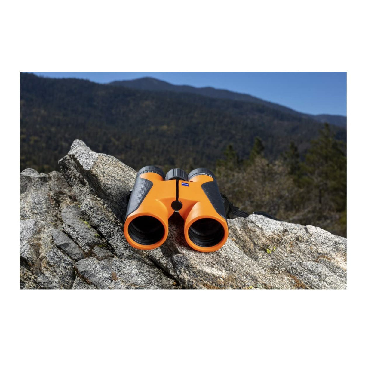 Zeiss Terra ED - Prismáticos de 8 x 42 Pulgadas, edición Limitada, Color Negro y Naranja