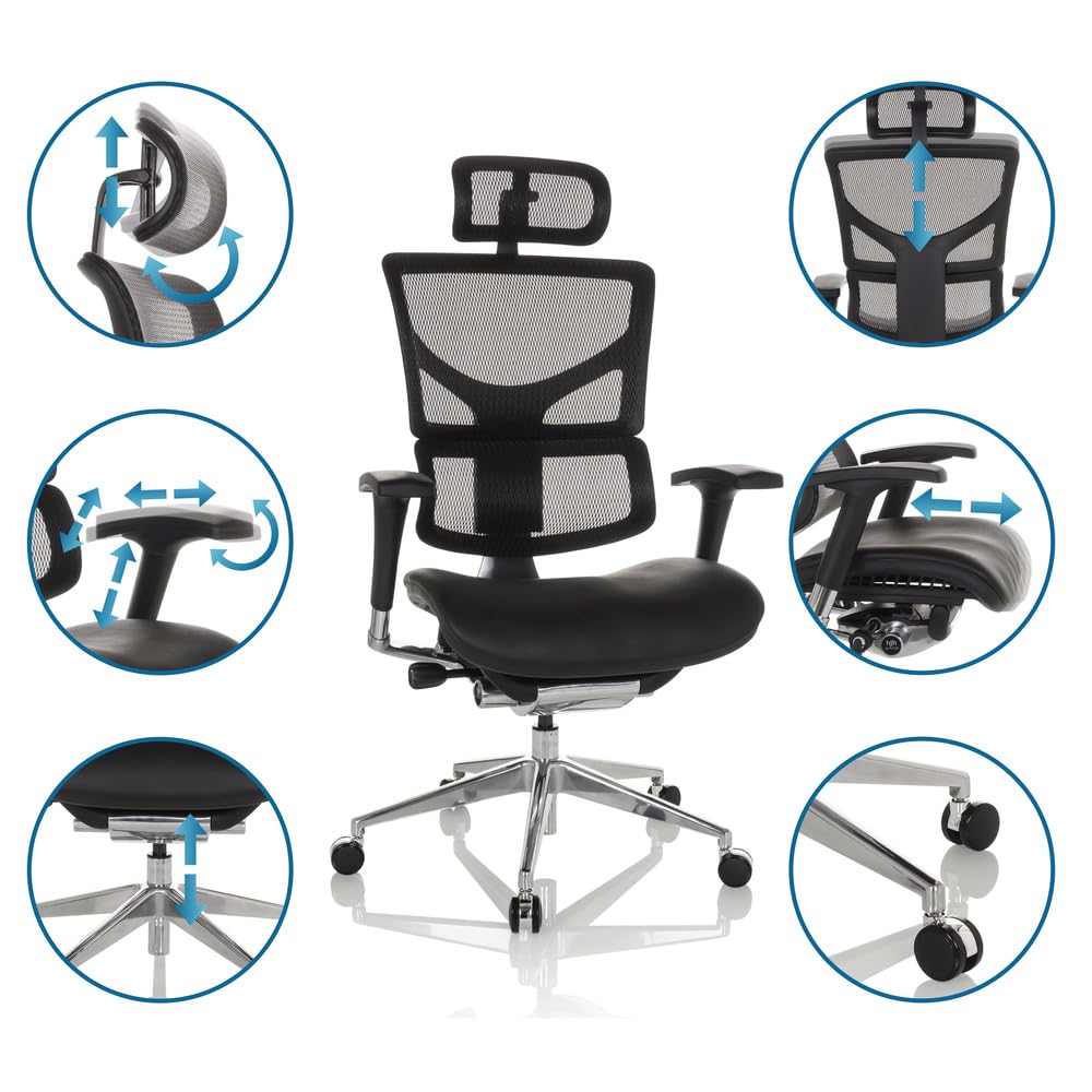 hjh OFFICE Silla de Oficina Profesional Ergo-U2 LM Silla giratoria ergonómica de Cuero, Apoyo Lumbar Flexible, Respaldo Regulable en Altura, Respaldo de Rejilla Negro 651102