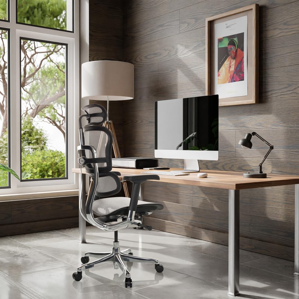 hjh OFFICE Silla de Oficina Silla giratoria ERGOHUMAN GEN2 Malla Diseño Original con Soporte Lumbar Flexible, Gris Claro