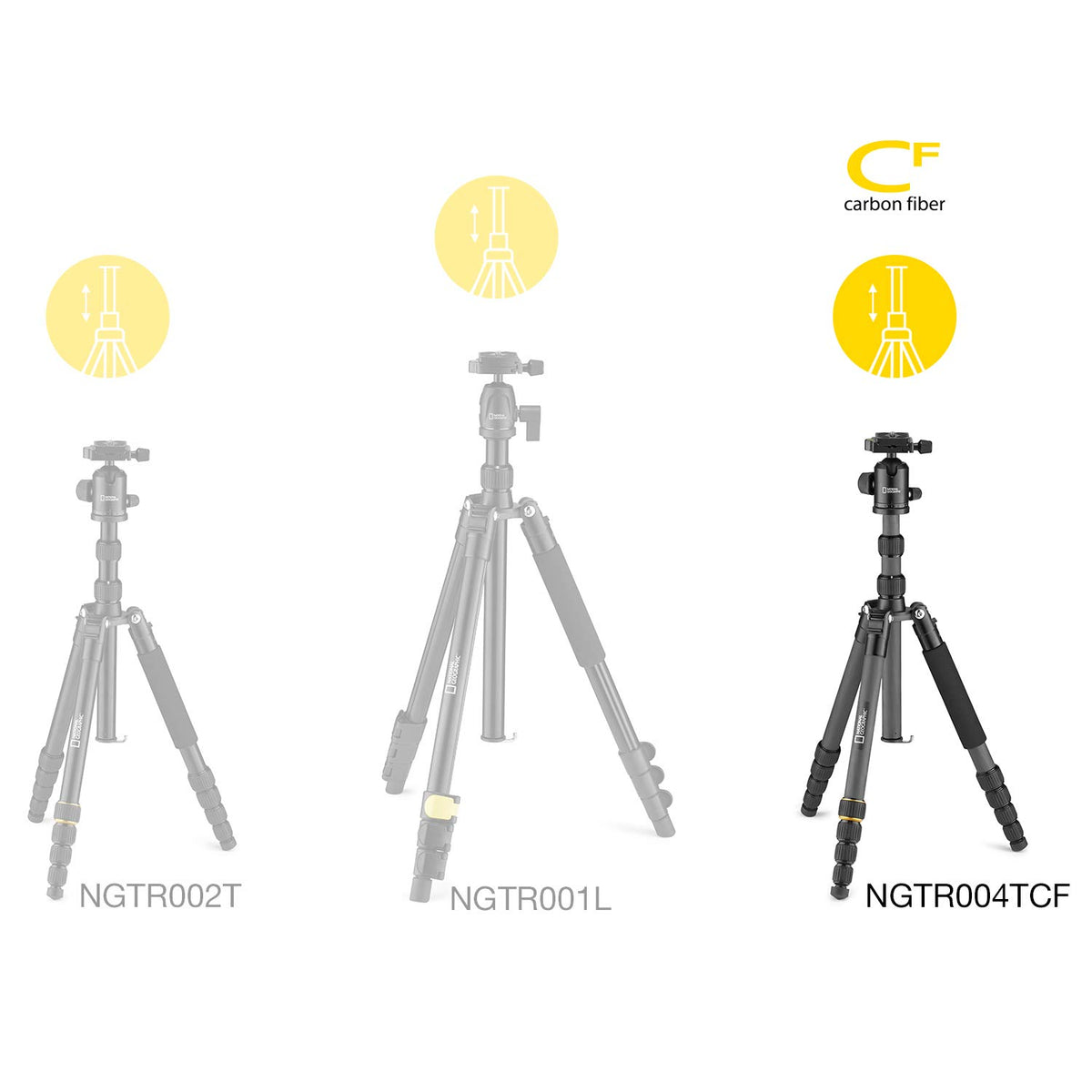 National Geographic NGTR004CF - Kit de trípode de viaje con monopié, fibra de carbono, patas de 5 secc., bloqueo por torsión, peso 8 kg, bolso, rótula, liberación rápida, color negro