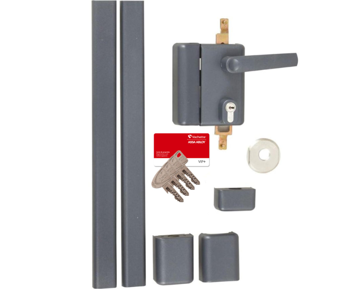 Vachette - Cerradura de aplique multipunto, vertical con asa, multiblinde serie 8800, tiro izquierdo, certificado A2P, alta seguridad, 3 puntos de cierre, 4 llaves VIP+ patentadas incluidas, gris