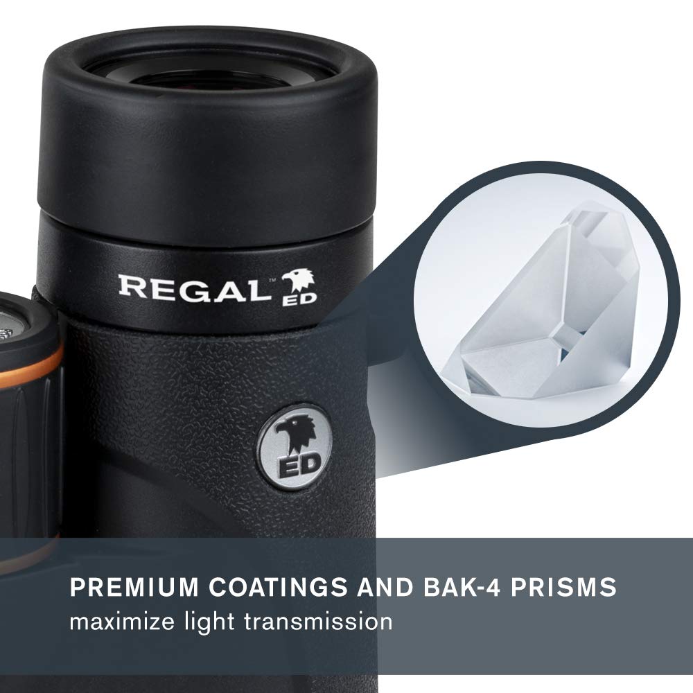 Celestron 71391 Regal ED 10x42: prismáticos para observar Aves y para Exteriores, prismas BaK–4 con Revestimiento de Fase y dieléctrico, óptica Completamente revestida, Foco cercano de 3 m