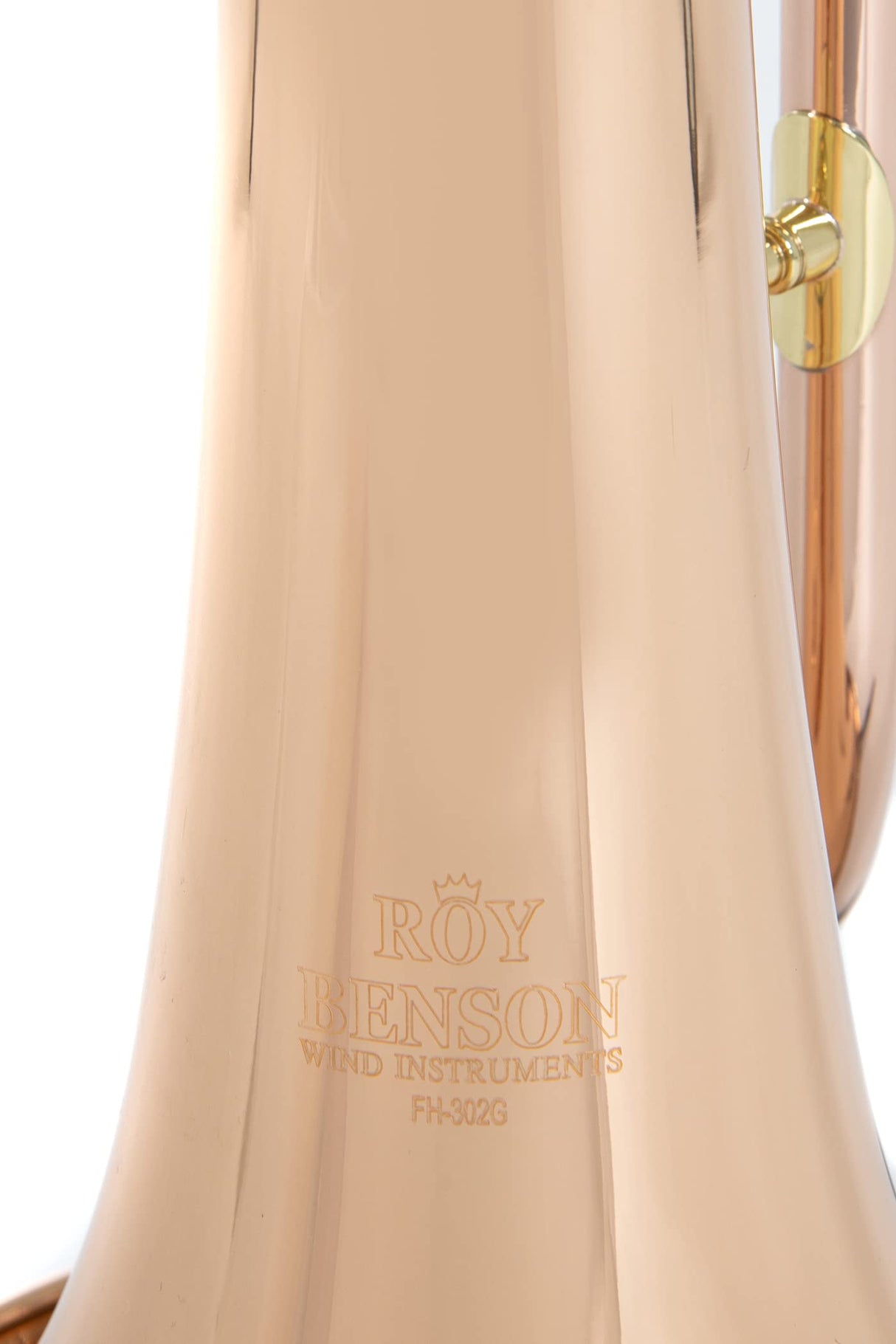 Roy Benson Fliscorno en Sib FH-302G (con orificio MS de 11 mm, campana de latón dorado, válvulas de acero inoxidable, incl. estuche rectangular ligero, con función de mochila, tamaño: 6"), lacado