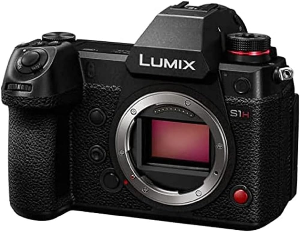 Panasonic Lumix DC-S1HE-K Cámara Sin Espejo, Grabación De Vídeo 6K con Pantalla Abatible (Captura De Imagen Completa, Grabación Interna 4:2:2 De 10 bits, Sólo Cuerpo De Cámara, Negro)