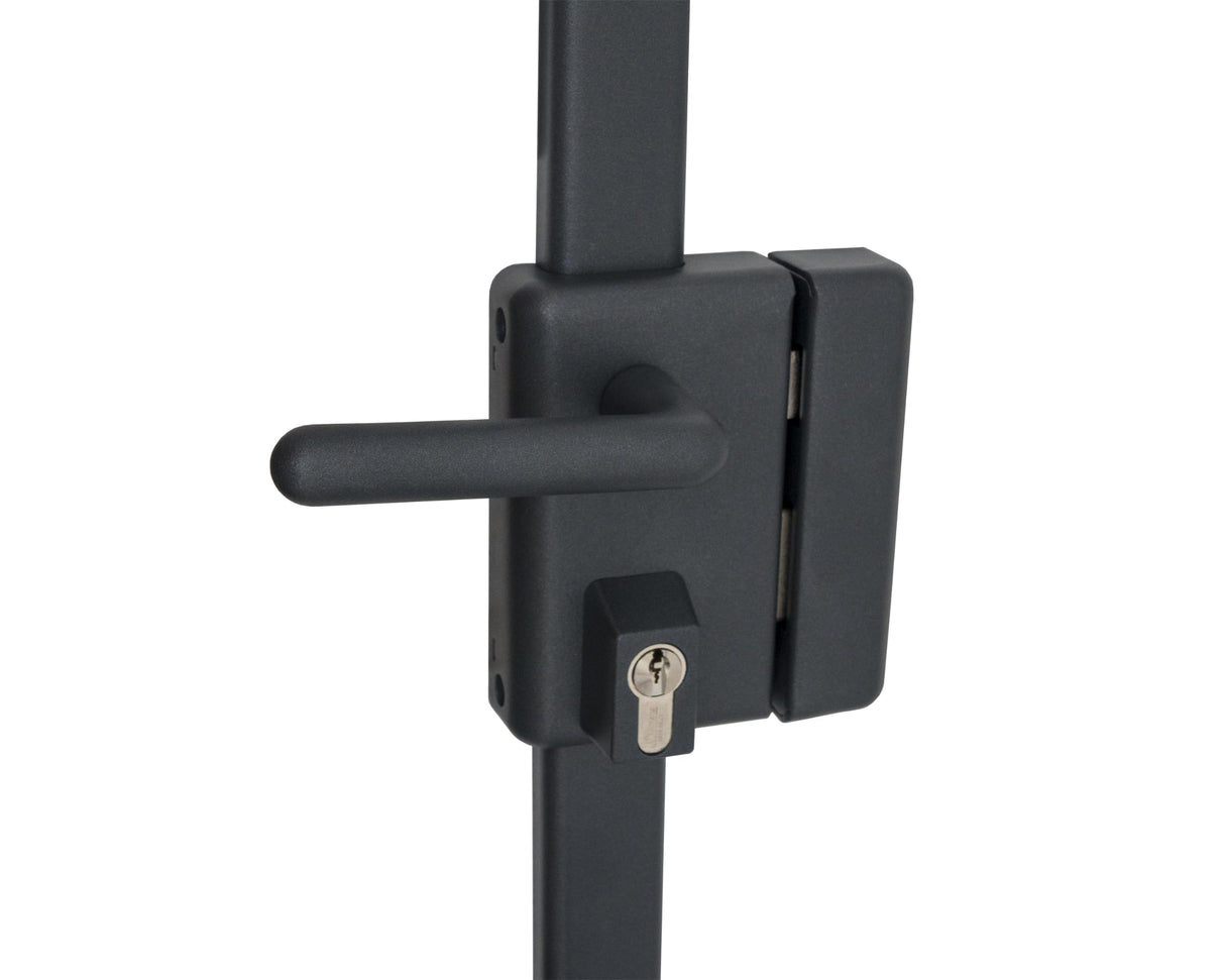 Vachette - Cerradura de aplique multipunto, vertical con asa, multiblinde serie 8800, tiro derecho, certificado A2P, alta seguridad, 3 puntos de cierre, 4 llaves VIP+ patentadas incluidas, gris